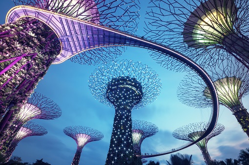 Tp. Hồ Chí Minh - Singapore